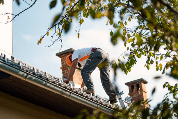 Best Roof Maintenance Services  in Cranford, NJ